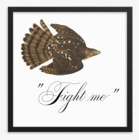 Fight Me Framed"  Srcset="data - Ruffed Grouse, HD Png Download, Free Download